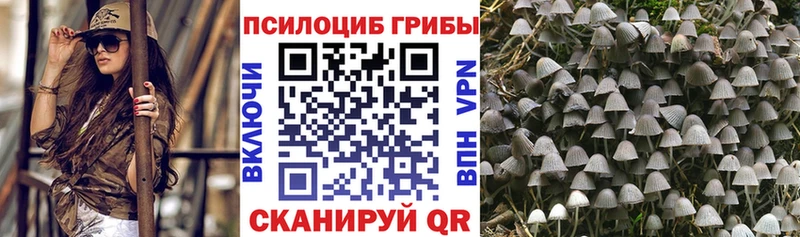 Галлюциногенные грибы Cubensis  Боготол 